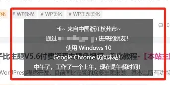 WordPress网站问候提醒语来源地址客户端信息美化-知新网